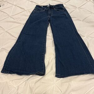 Vigoss Palazzo Crop Jeans